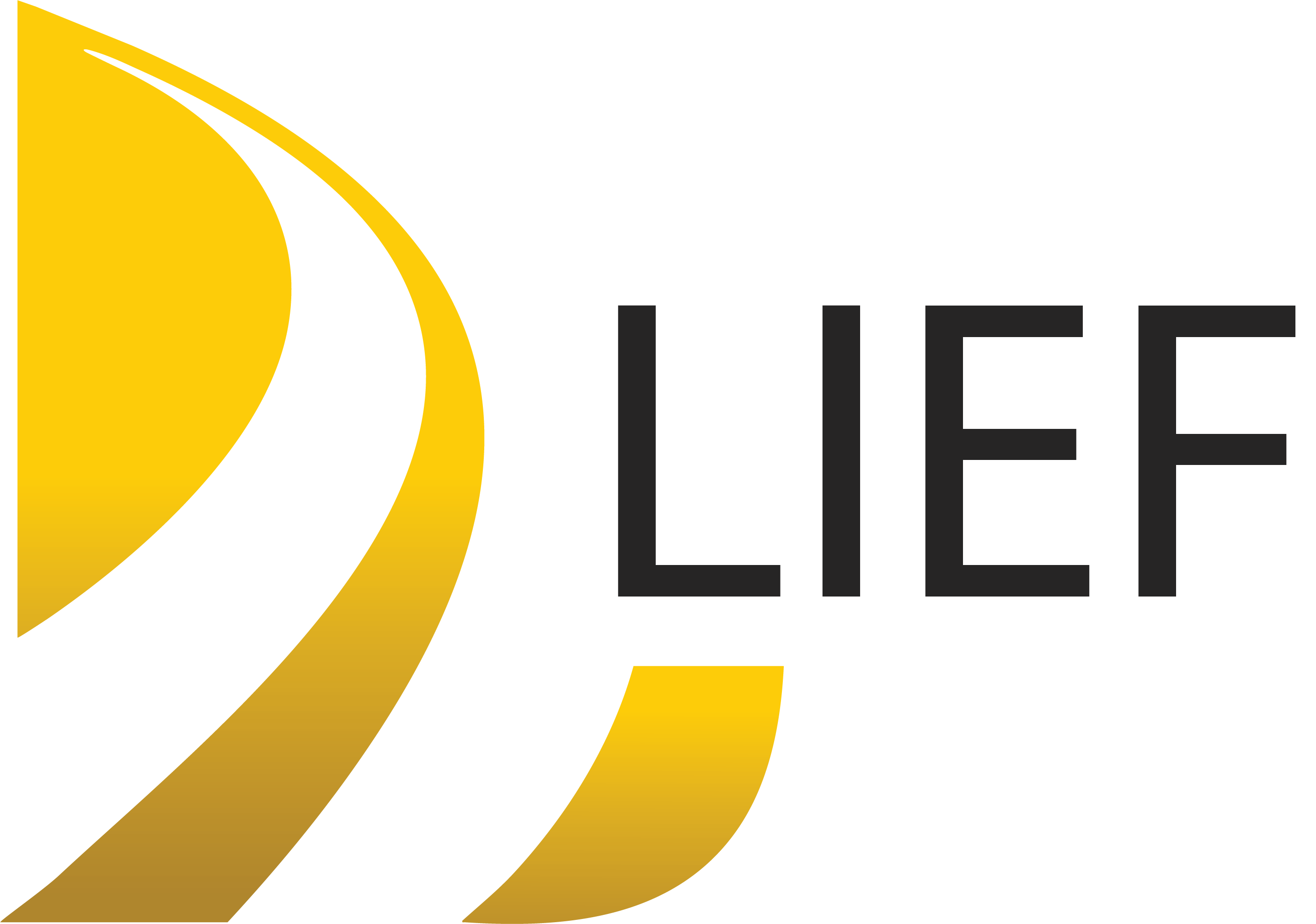 Logo LIEF